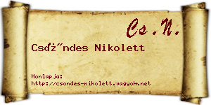Csöndes Nikolett névjegykártya
